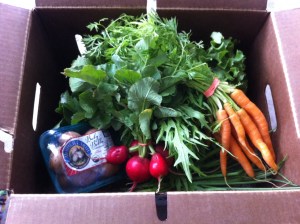 My first LFFC share of 2012