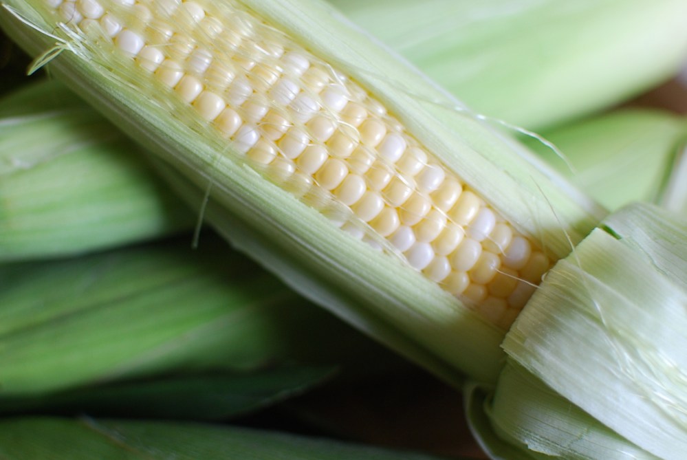 Corn