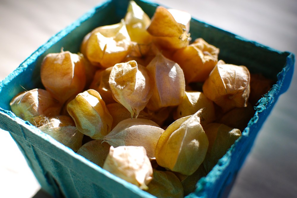 Ground cherries