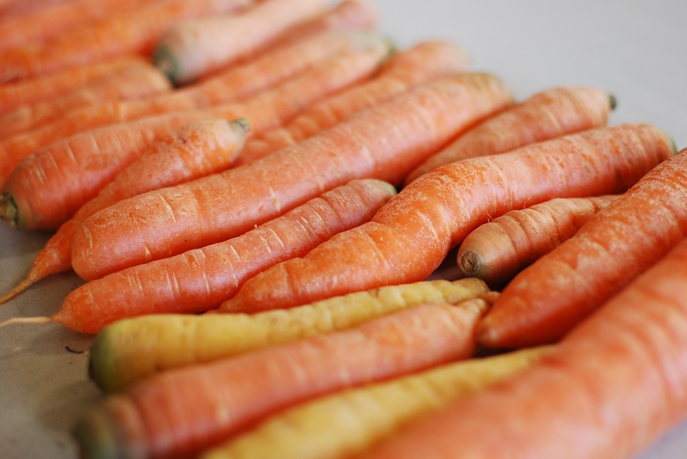 Carrot Tetris