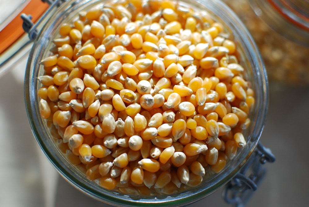 kernels