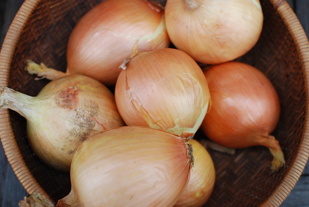 Basket of Onions